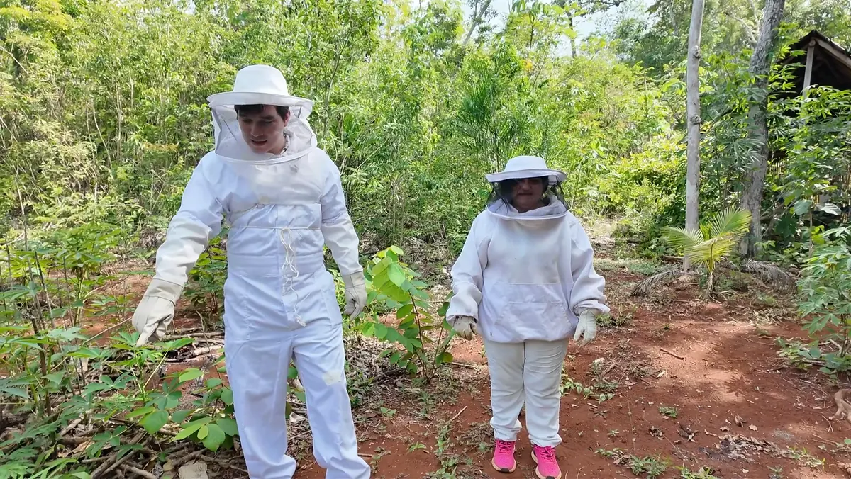 Recorrido por el apiario durante una visita de Mieli