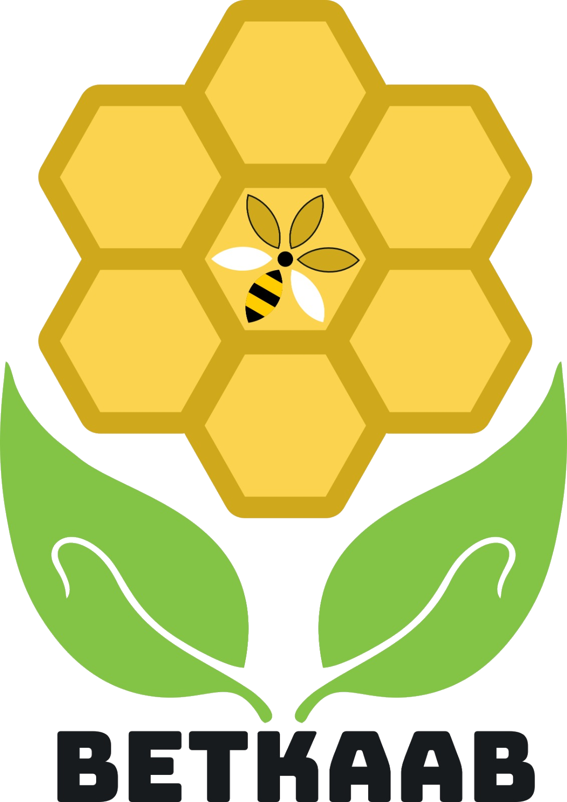 Logotipo de Betkaab