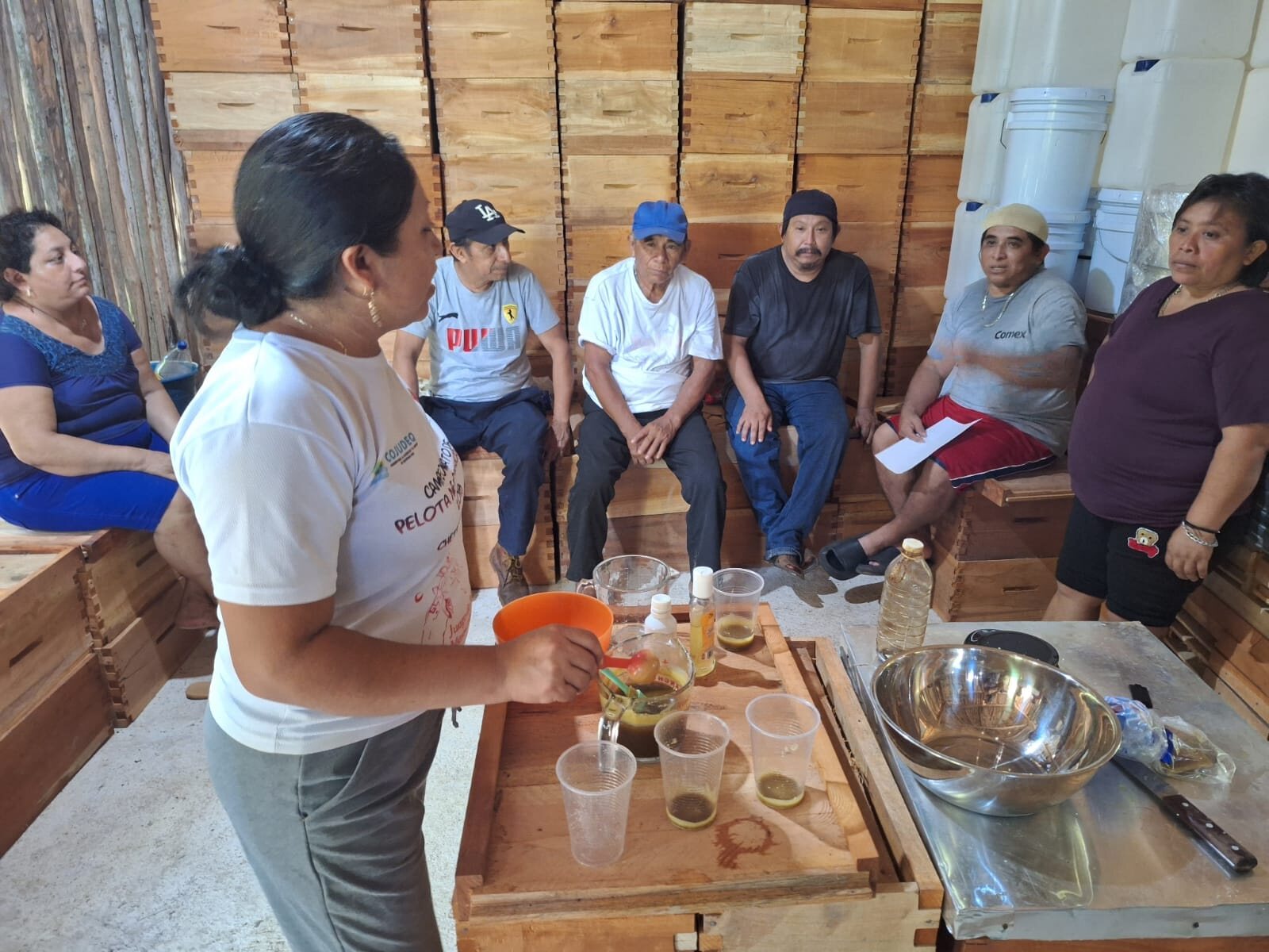 Taller comunitario de diversificación de productos de la colmena