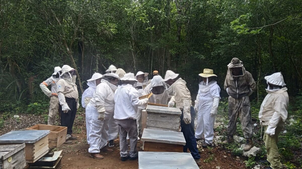 Personas con equipo de apicultura observan una colmena en el apiario