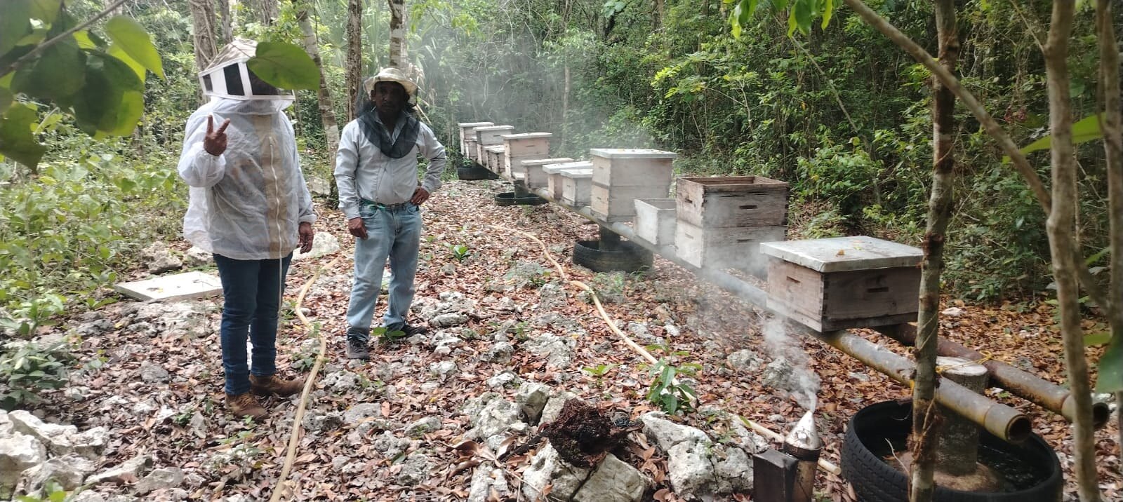 Dos apicultores de Kan Kan junto a una fila de colmenas entre los árboles de Uxuxubi