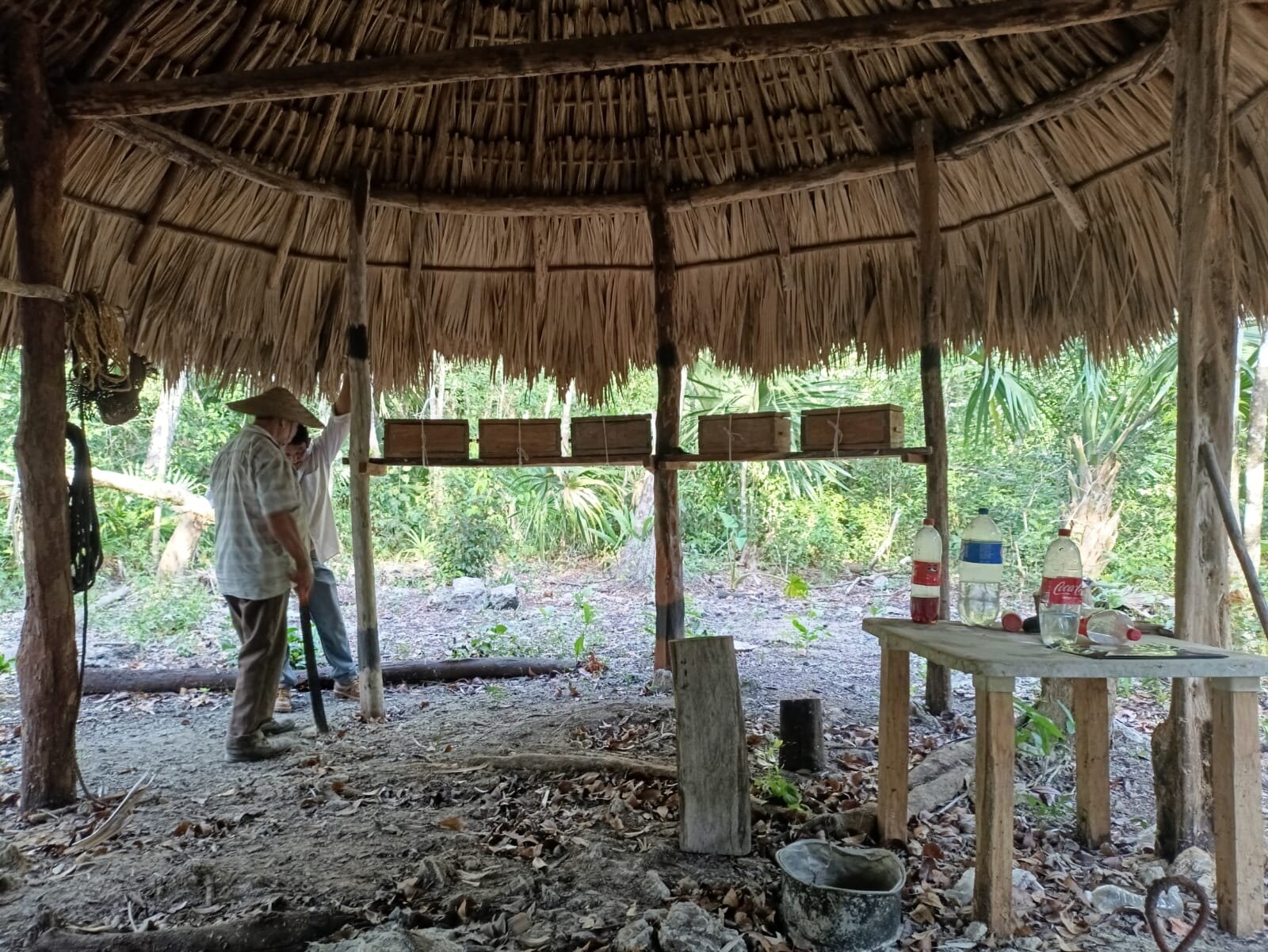 Meliponario tradicional de Kan Kan bajo una palapa abierta hacia la selva