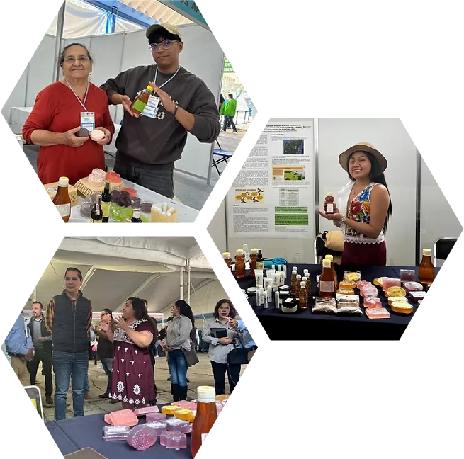 Integrantes de Miel de Flores Mayas en ferias, capacitaciones y encuentros