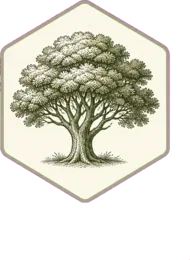 Árbol, símbolo del compromiso con la Selva Maya