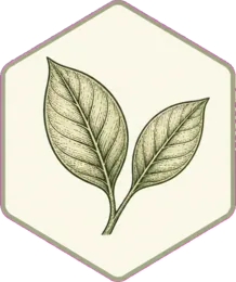 Hojas, símbolo de técnicas ancestrales